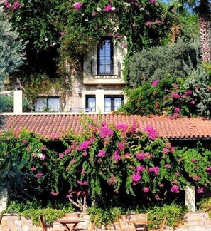 Exterior - Hotel Zeytinada (Bodrum)