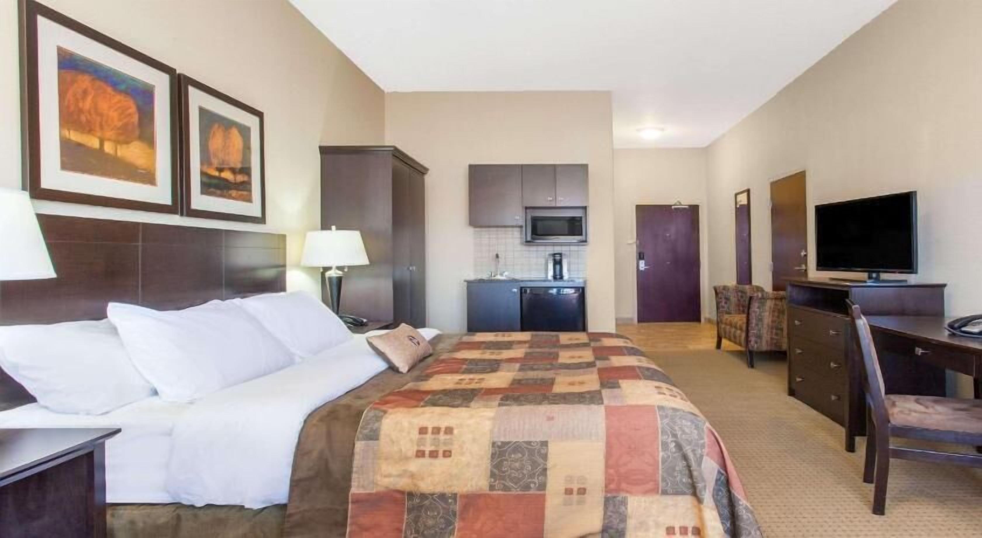 Ropa de cama de alta calidad, escritorio y cortinas blackout 