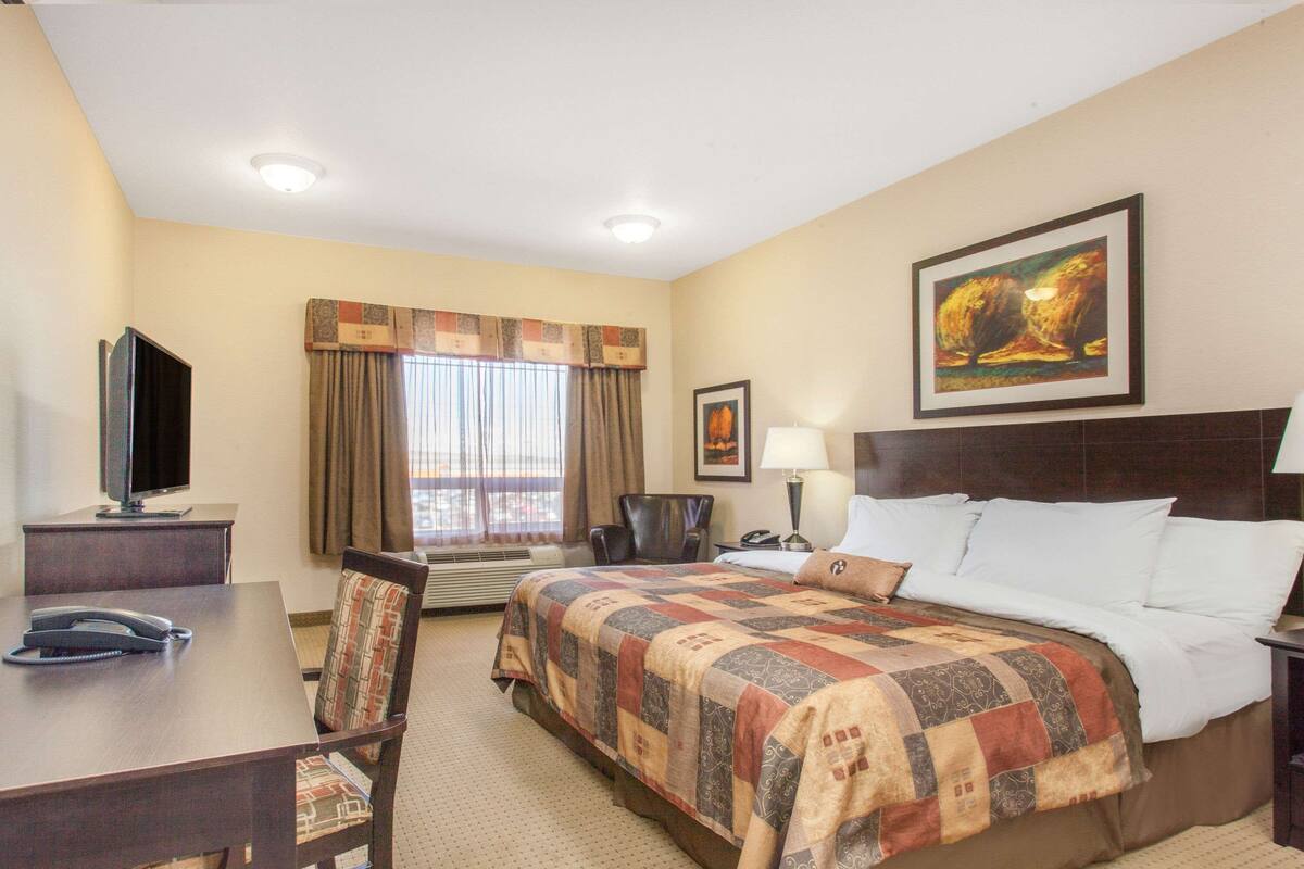 Habitación de hotel con una cama, un escritorio con teléfono, una silla, un televisor y un cuadro en la pared.