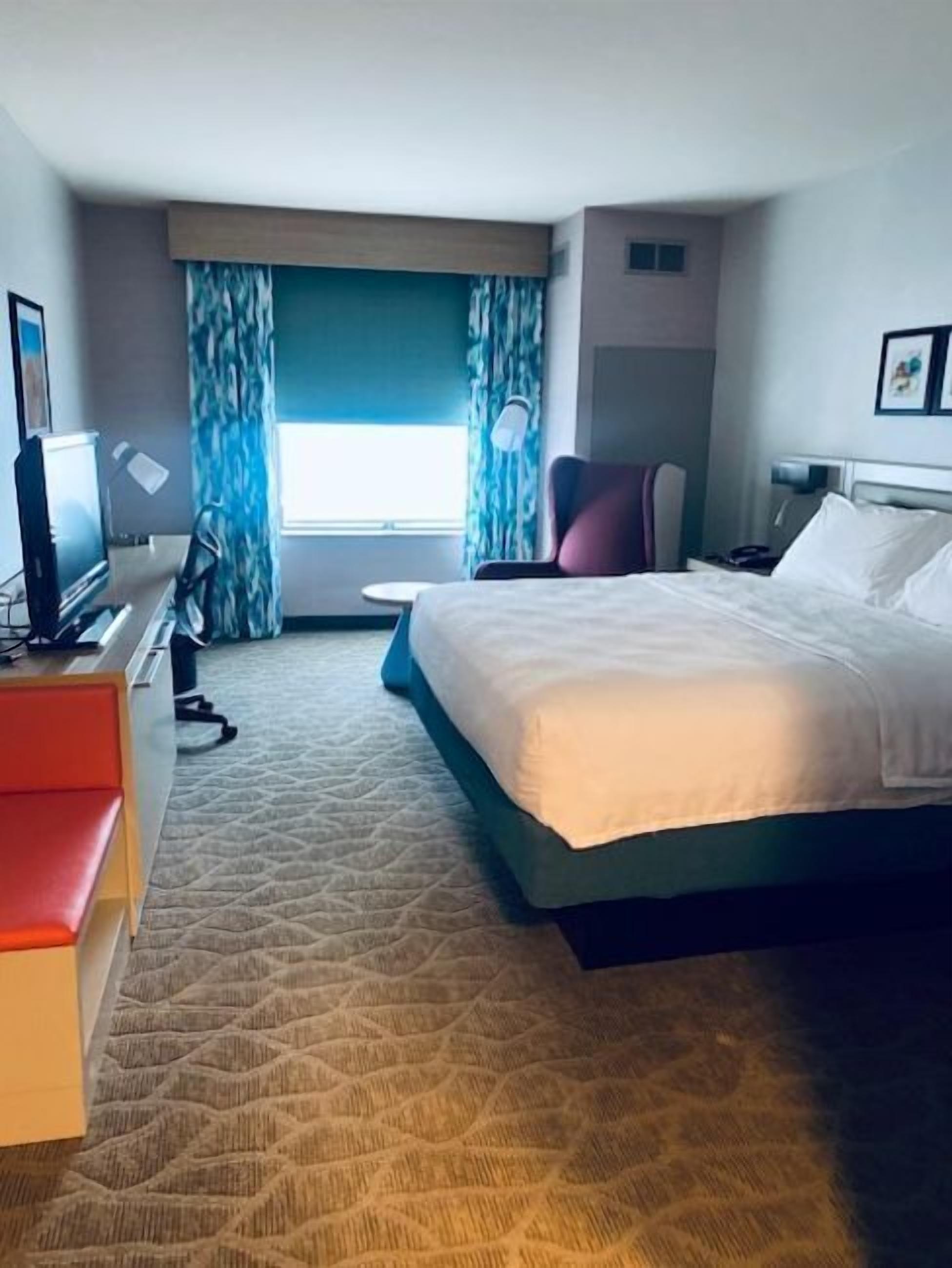 One king bed evolution
