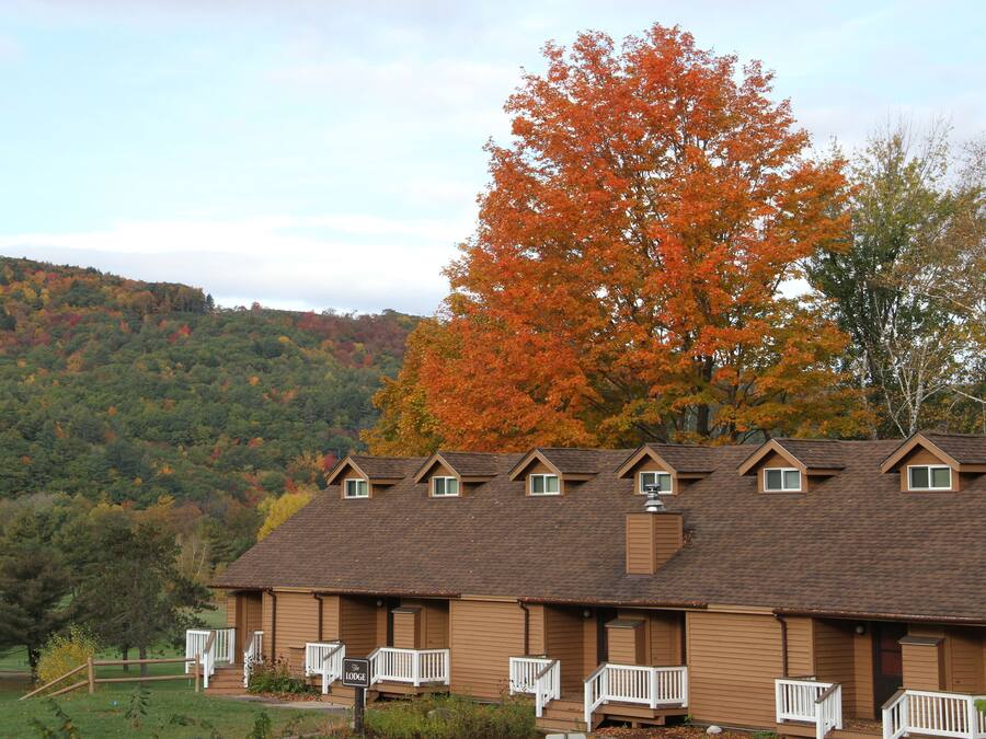A lodge with multiple rooms, a porch, and a view of a forested hill.
