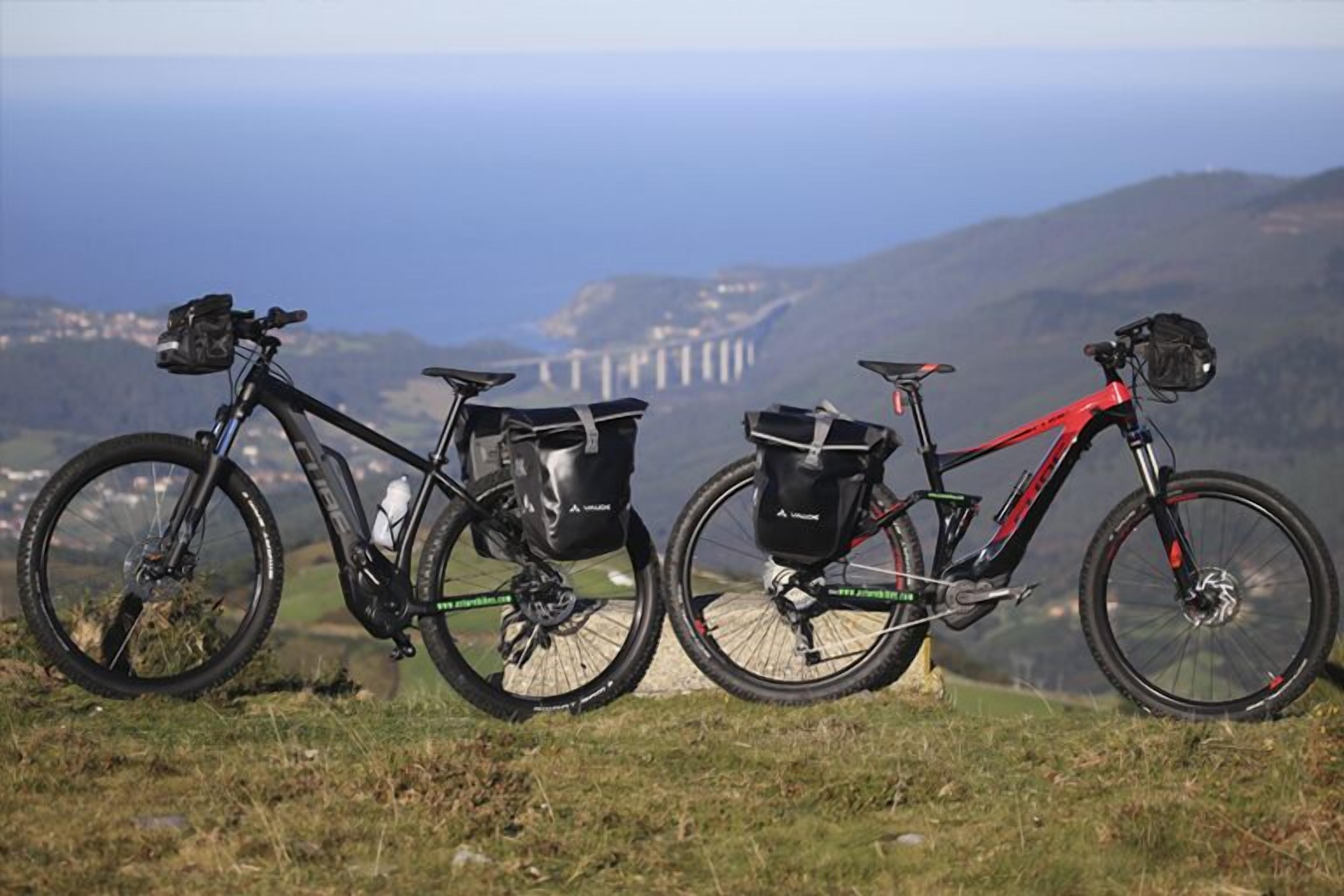 Two bicycles with attached storage bags on a grassy hill with a view of a bridge and distant buildings.