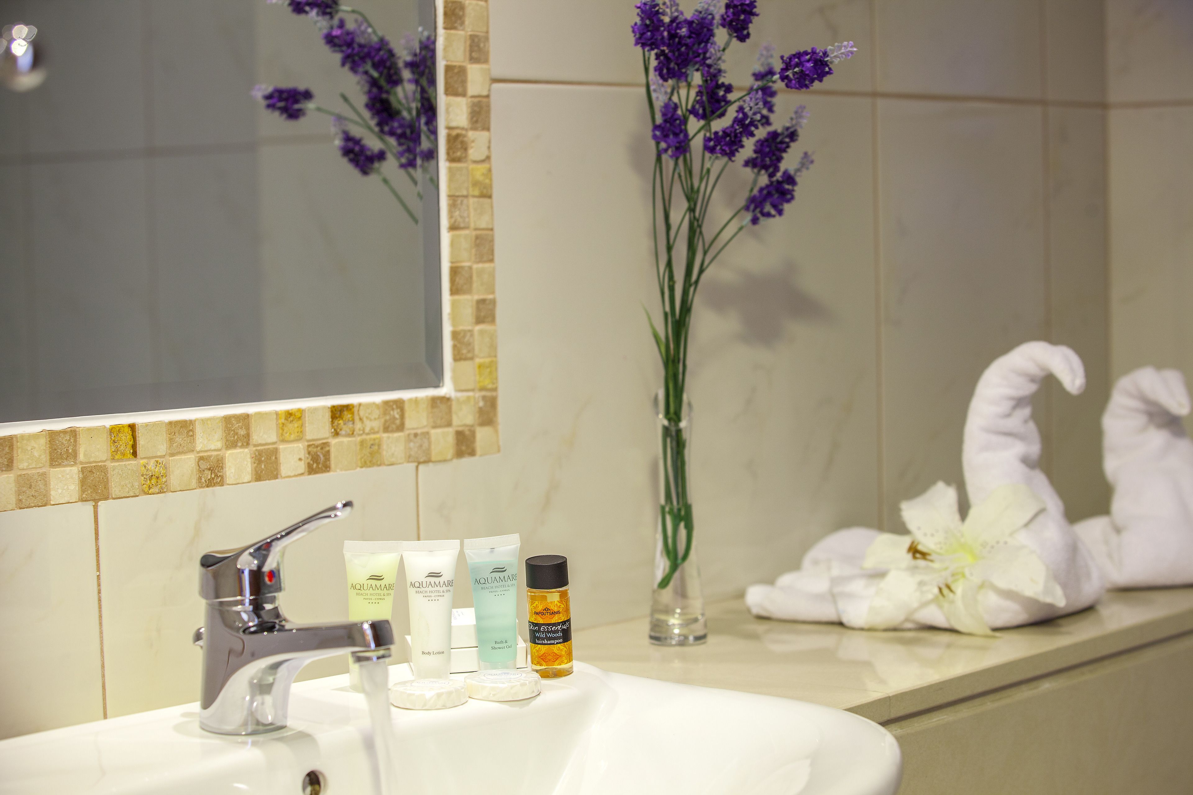 combined shower/bathtub, free toiletries, hair dryer, towels