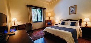 Deluxe Room | View from room