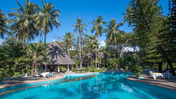 Une piscine entourée de palmiers et de chaises longues.