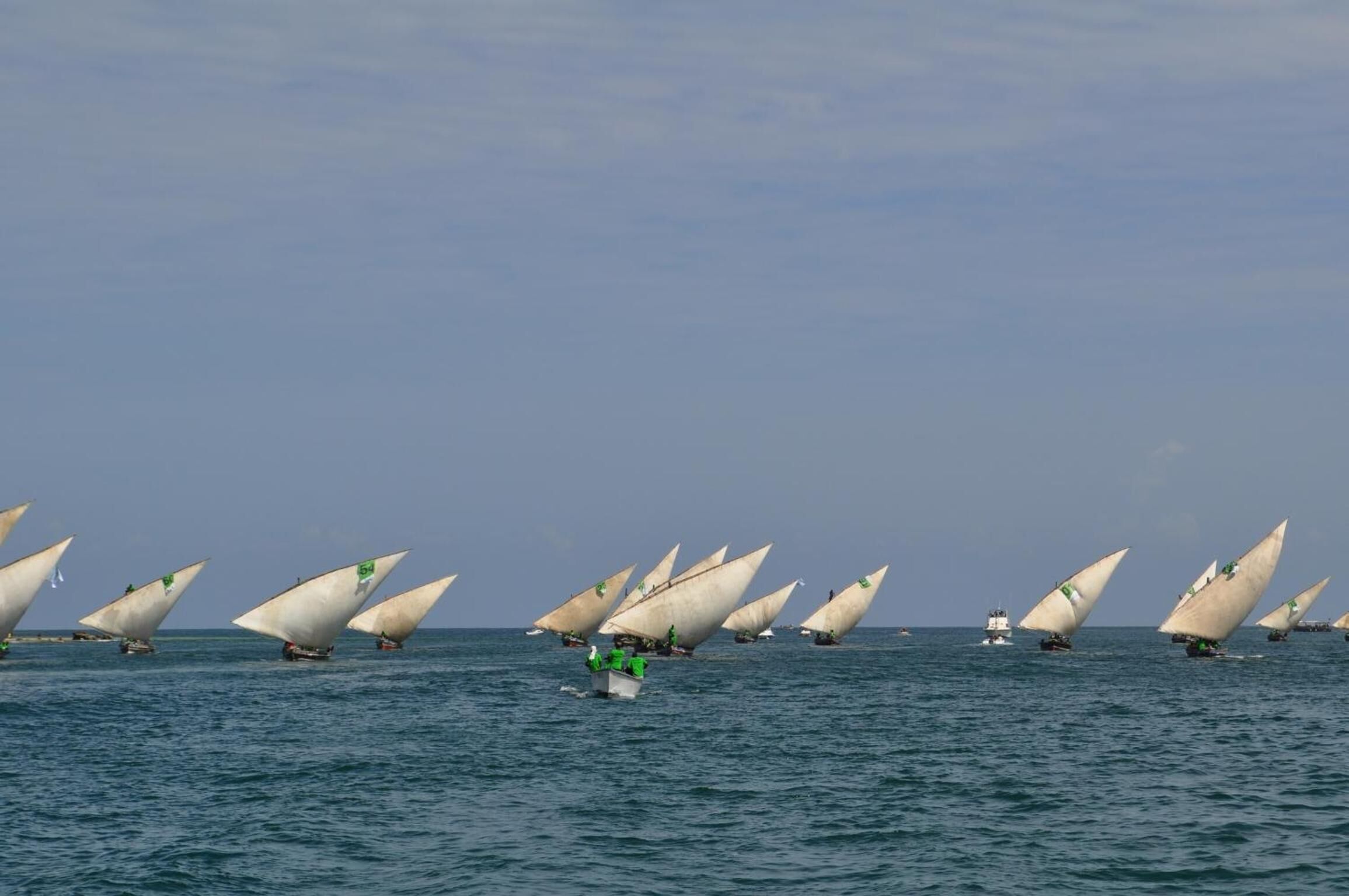 A fleet of sailboats with green flags on a calm sea.