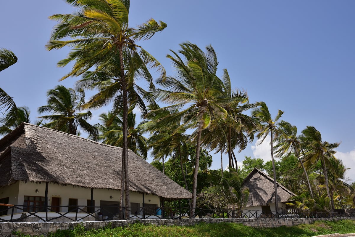 A thatched-roof building with a simple, open veranda, surrounded by palm trees.