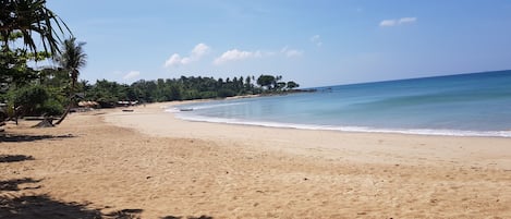 A sandy beach with calm waters, palm trees, and a clear sky.