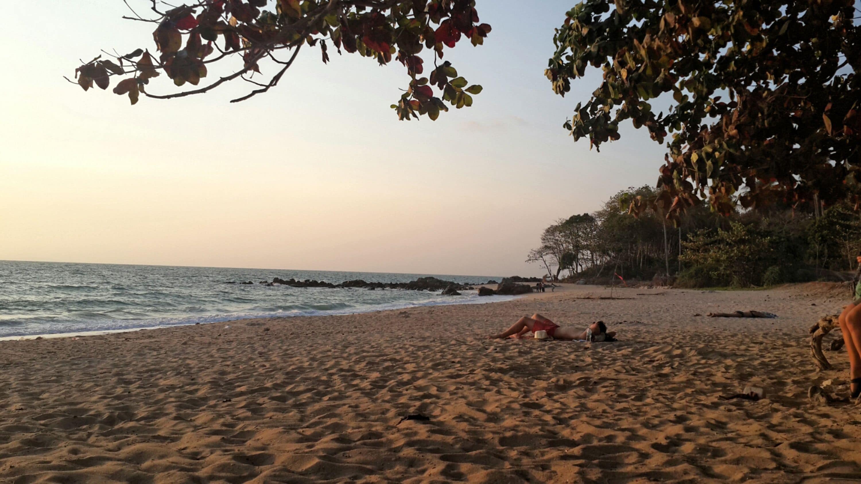 Una playa con arena, una persona recostada y un árbol con hojas.