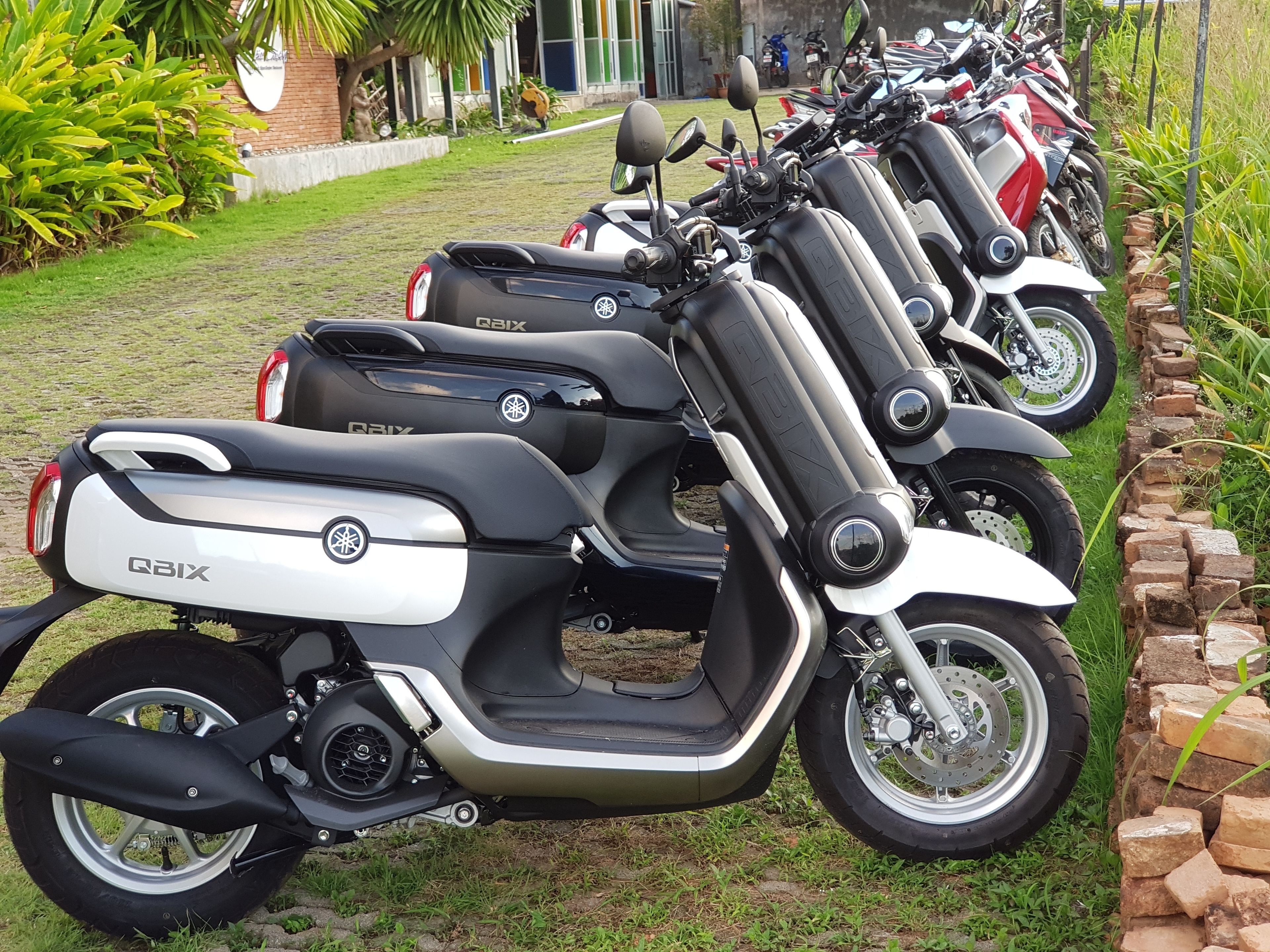 Una fila de motocicletas estacionadas, incluyendo una Yamaha QBIX, en un área con césped, una pared de ladrillo y plantas al fondo.