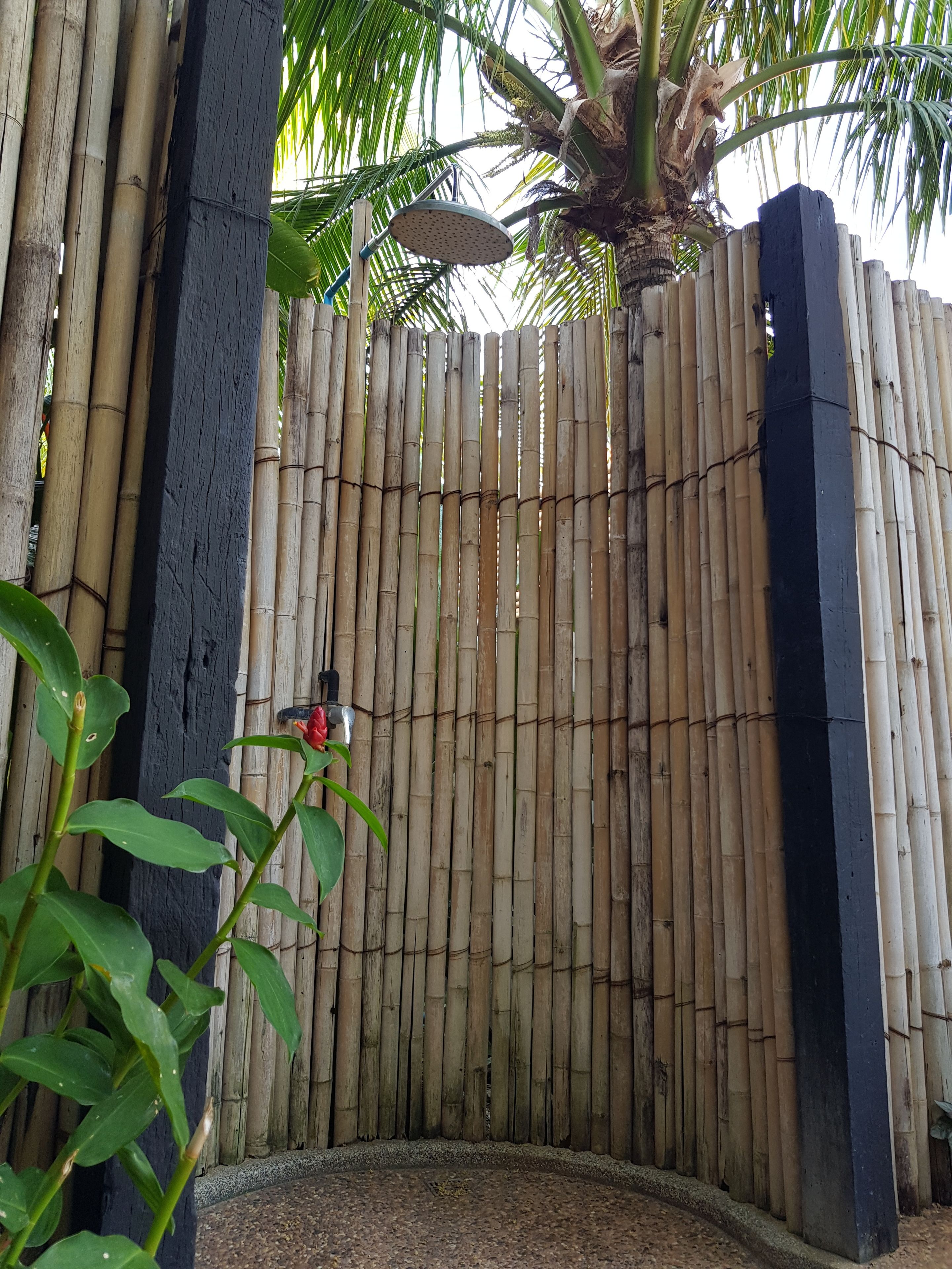 Ein Bambuszaun mit einer Palme und einem Vogelhaus.