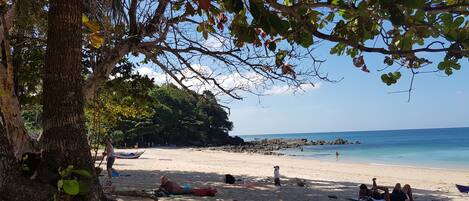 A beach with people sunbathing and swimming, a tree providing shade, and a rocky shoreline in the background.