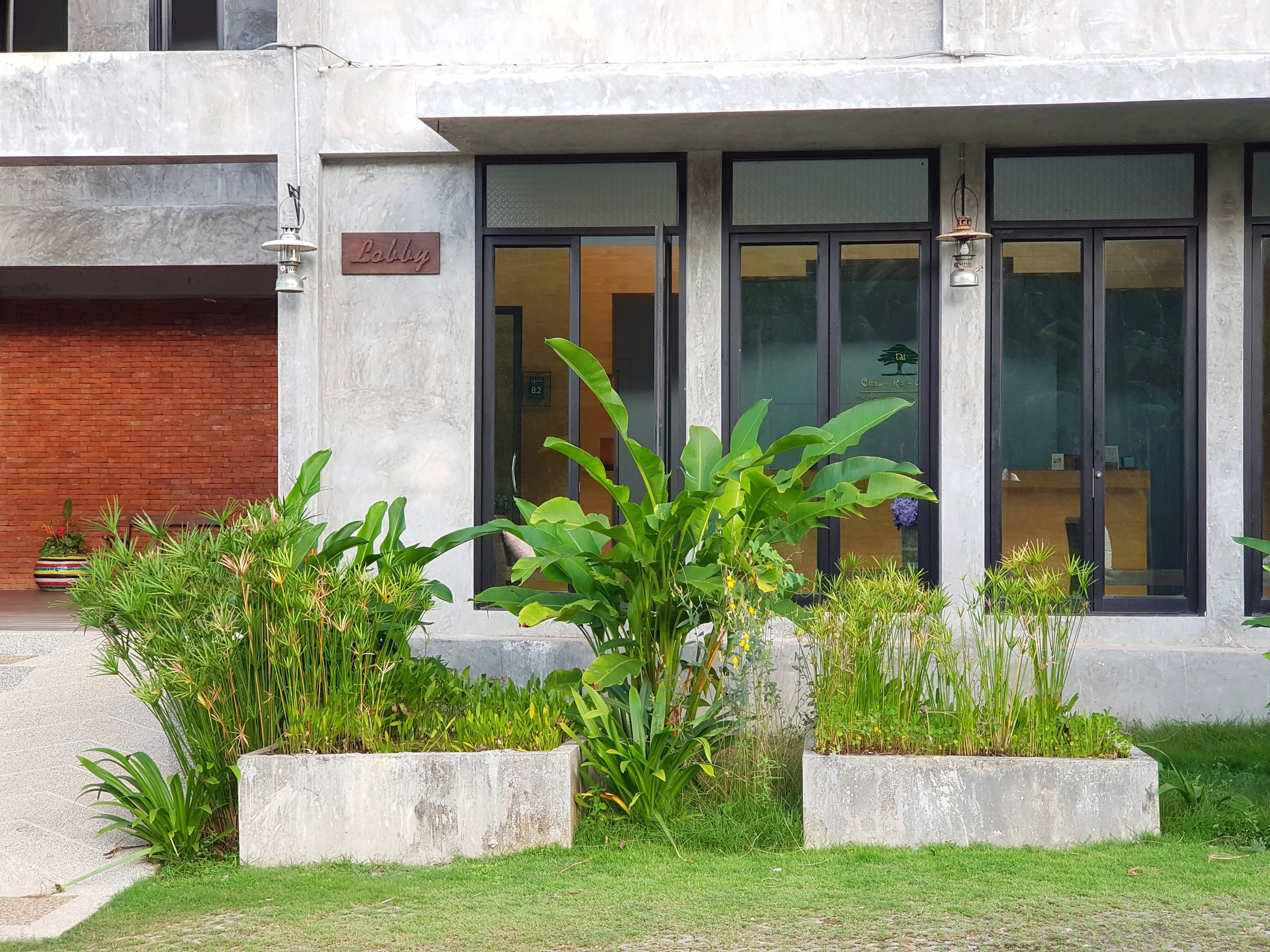 A building with a lobby sign, large windows, and a well-maintained garden with concrete planters.