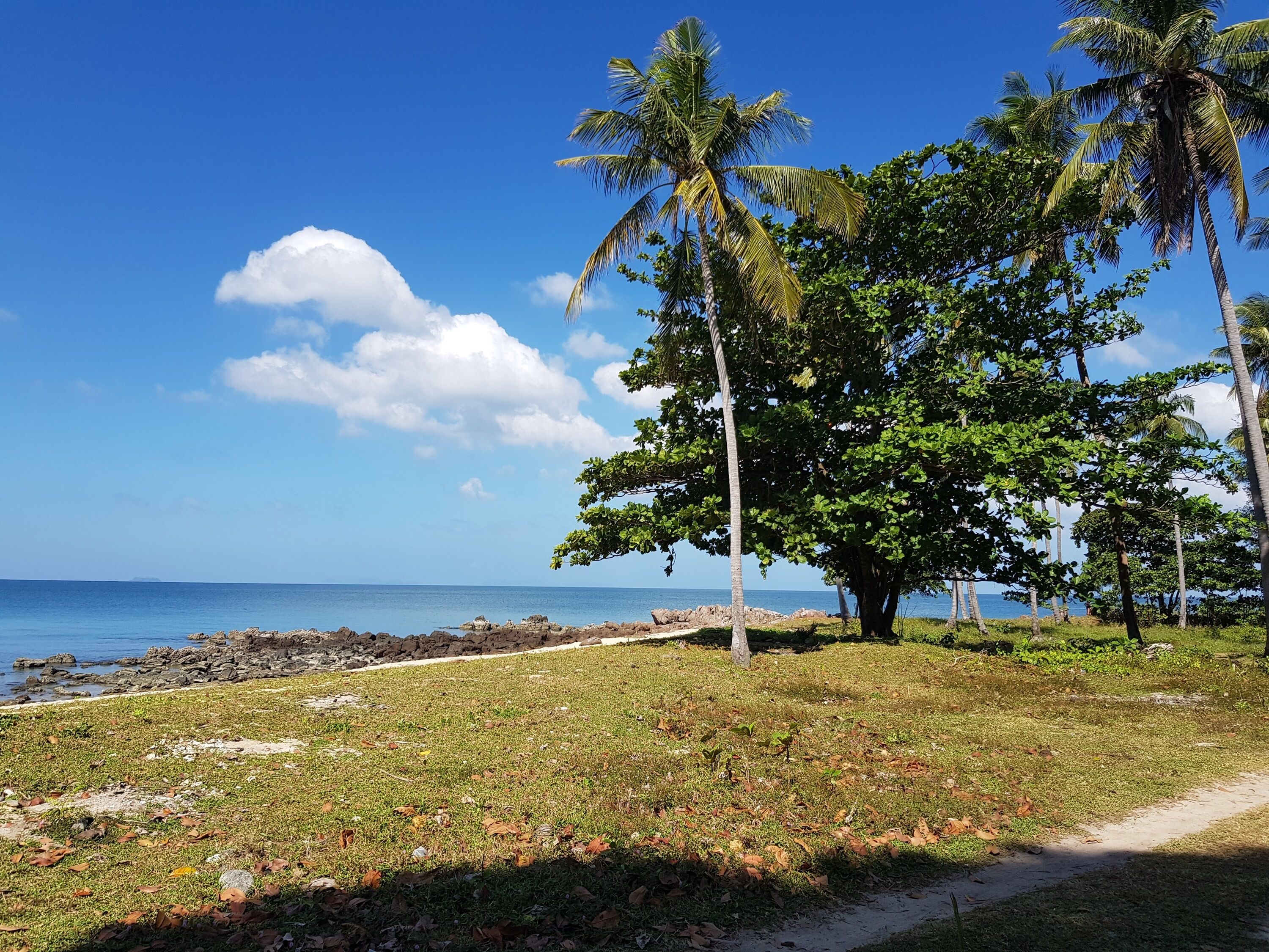 beach nearby, free beach shuttle