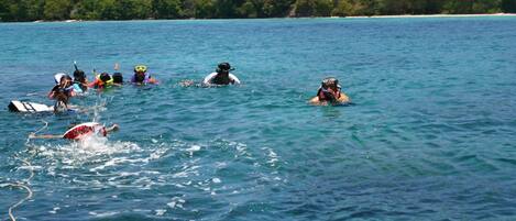 A group of people swimming in a clear blue sea with a forested island in the background.