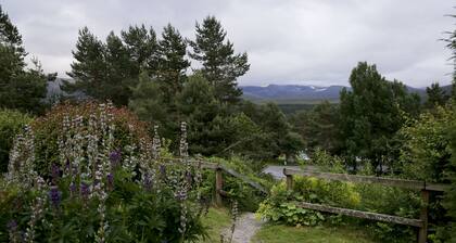 Cairngorm Lodge Youth Hostel