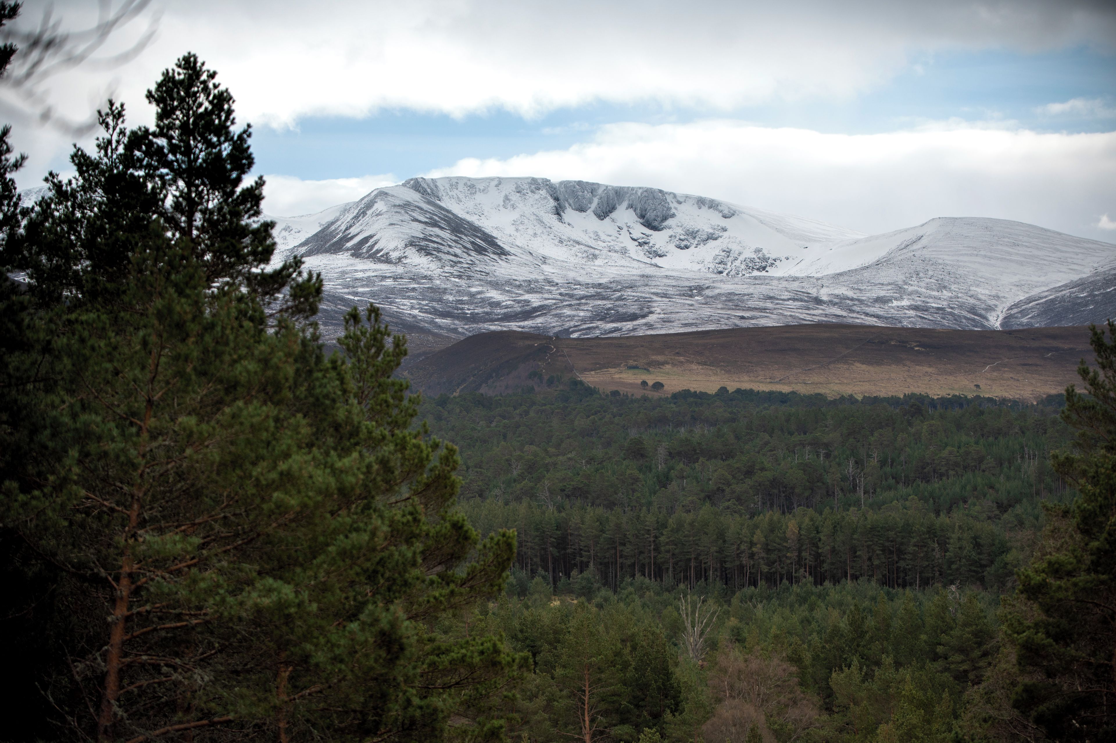 A mountainous landscape with snow-covered peaks and a forested valley.