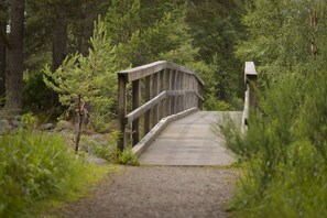 Property grounds - Cairngorm Lodge Youth Hostel (Aviemore)