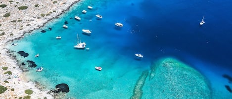 Ecotours