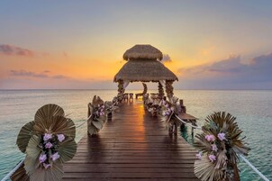Outdoor wedding area