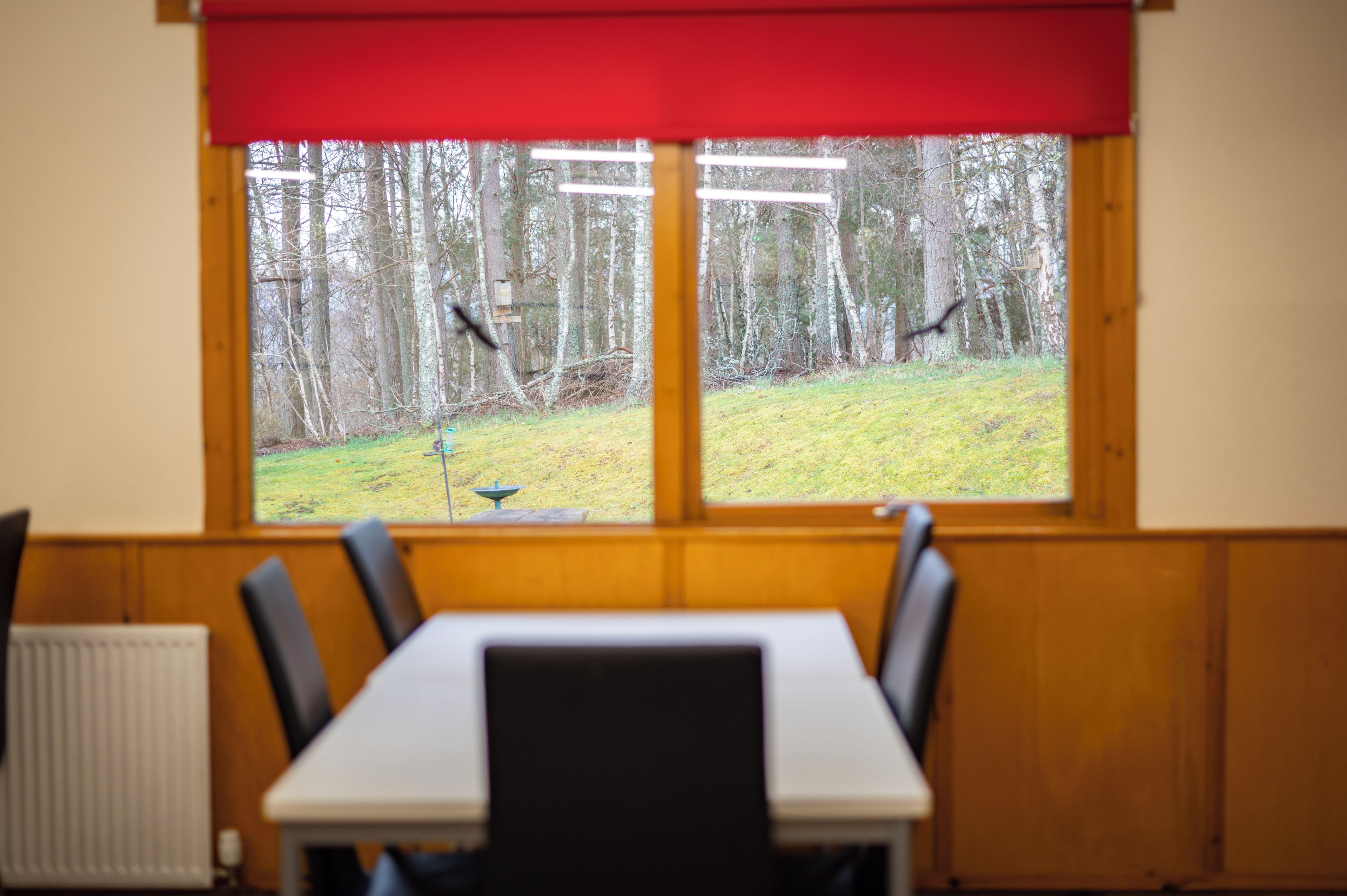 A room with a table and chairs, a window with a view of a forest, and a red blind.