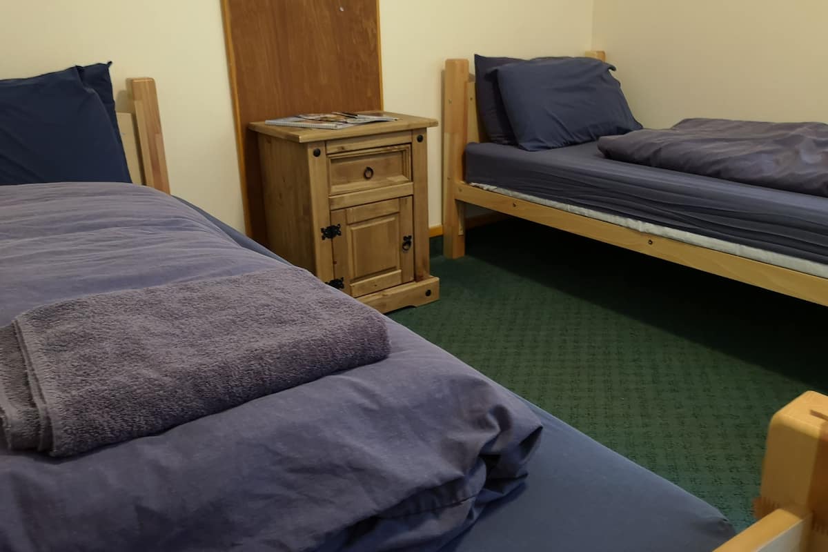 A room with two single beds, each with a wooden frame and dark bedding. There is a small wooden nightstand with a drawer and a shelf, and a green carpeted floor.