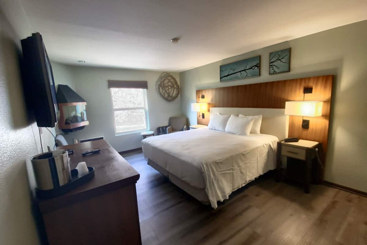 Habitación de hotel con una cama grande, un escritorio con lámpara, televisión y ventana con vista a árboles.