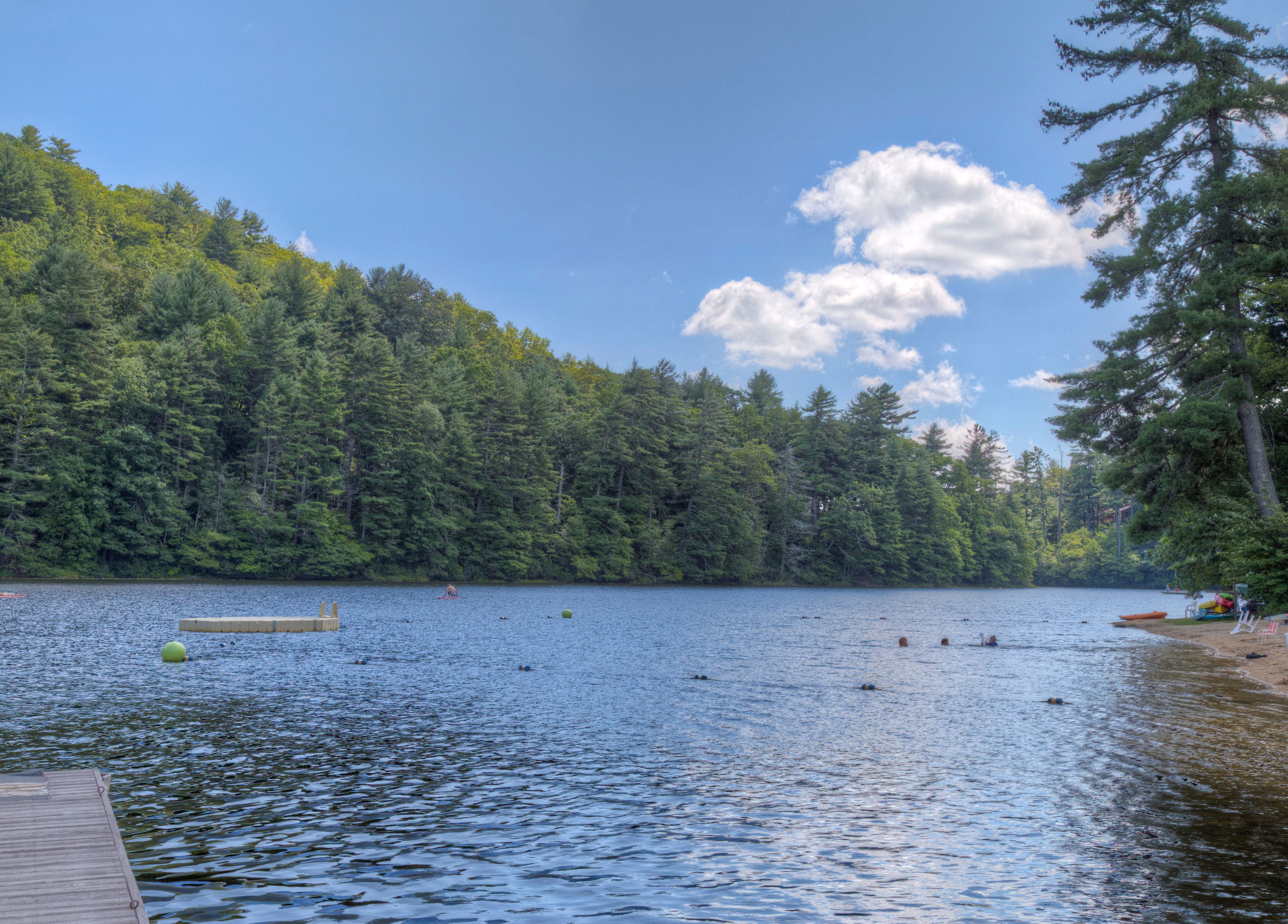 A lake with a dock, surrounded by dense forest and clear skies.