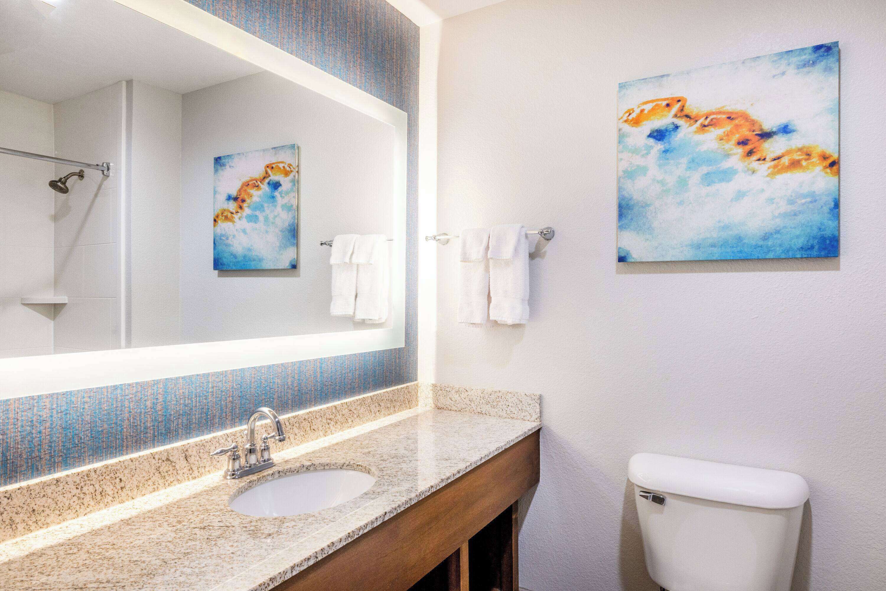 combined shower/bathtub, free toiletries, hair dryer, towels