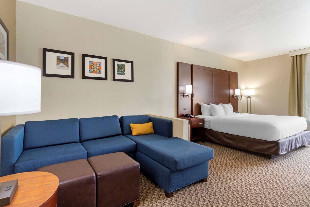 Une chambre d’hôtel avec un canapé bleu, un lit, une table de chevet en bois et des tableaux encadrés au mur.