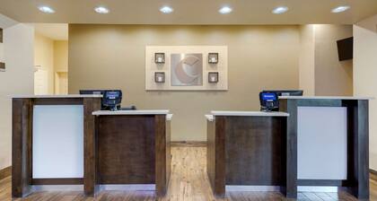 Comfort Inn & Suites Near Six Flags & Medical Center