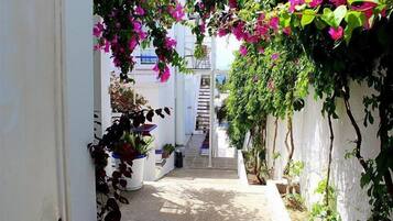 Khuôn viên nơi lưu trú