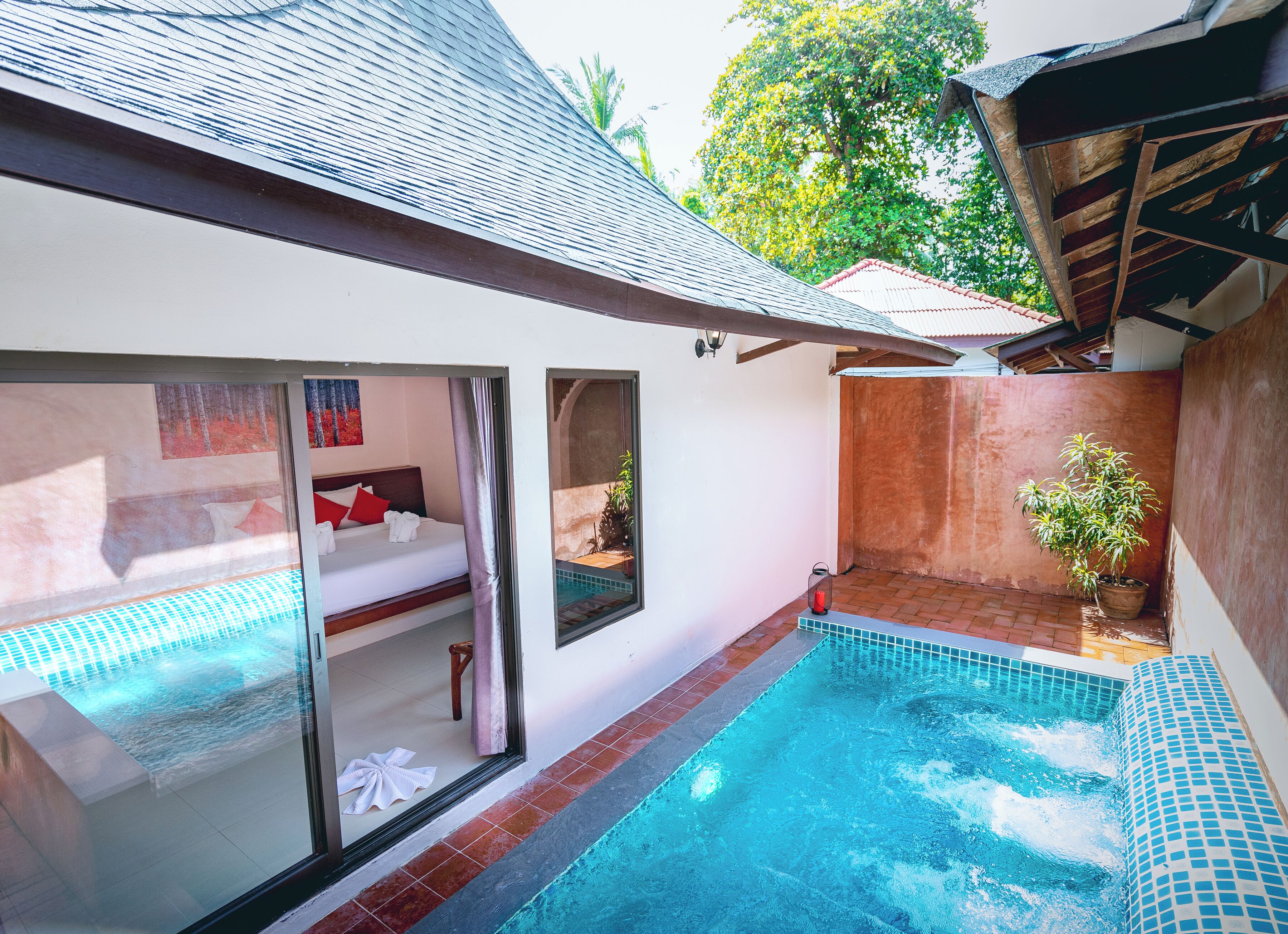 Un espace piscine privé avec un lit et une plante en pot.