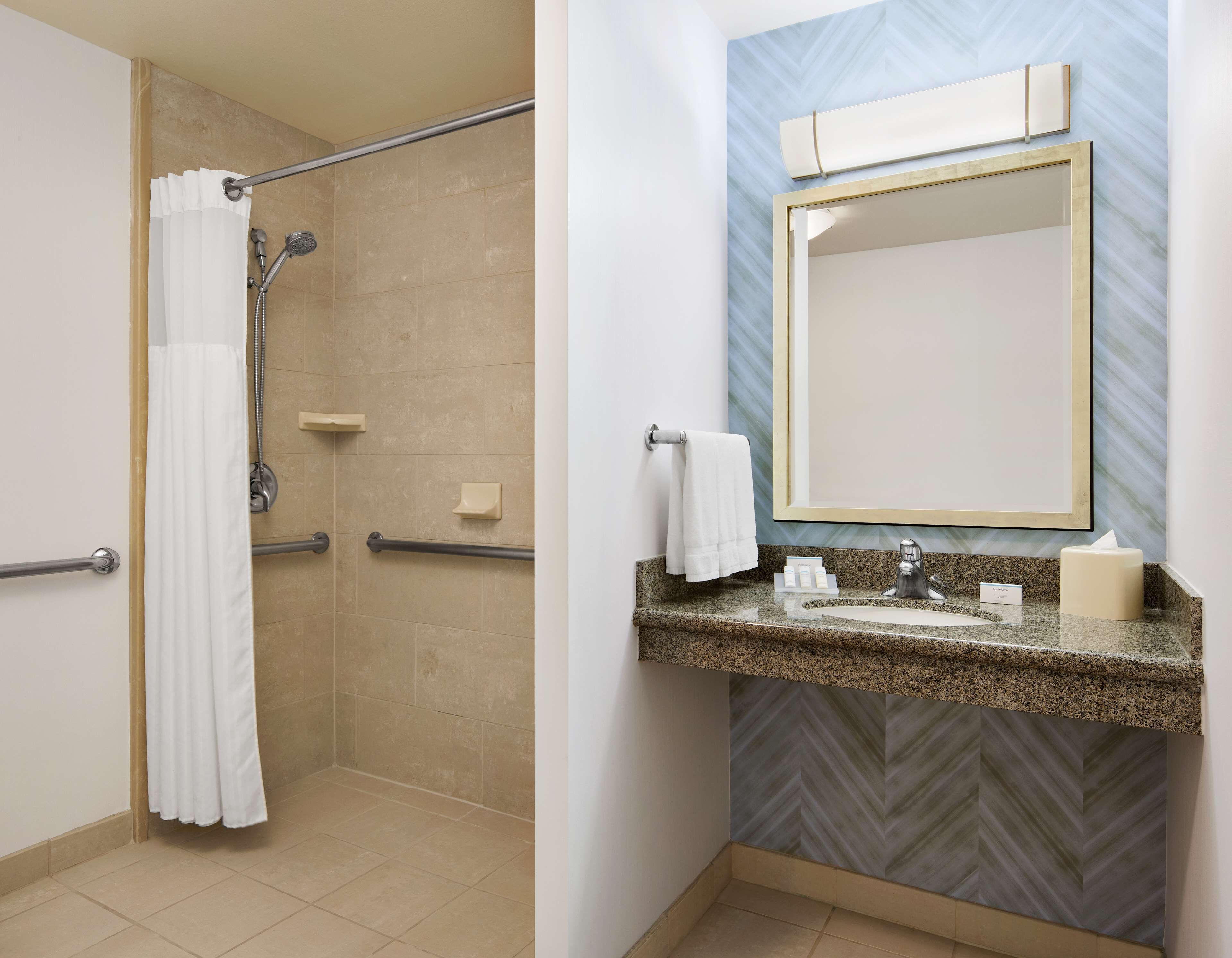 room, 1 king bed, mobility & hearing accessible (ri shower) | bathroom shower