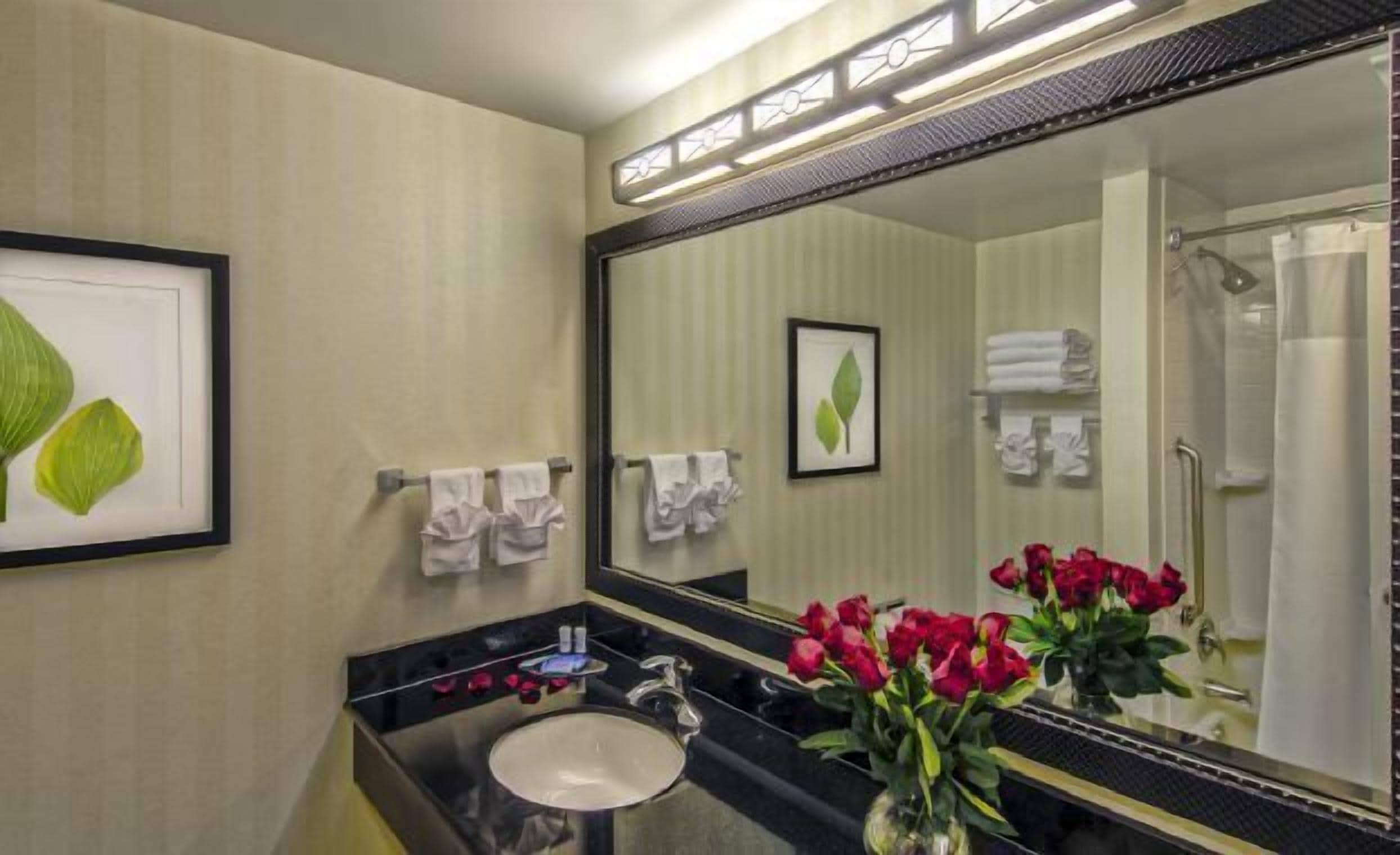 combined shower/bathtub, free toiletries, hair dryer, towels