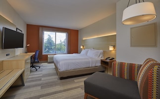 A hotel room with a bed, a desk, a chair, a TV, a window with a view of trees, and a patterned couch.