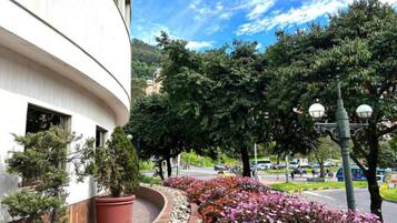 Jardim