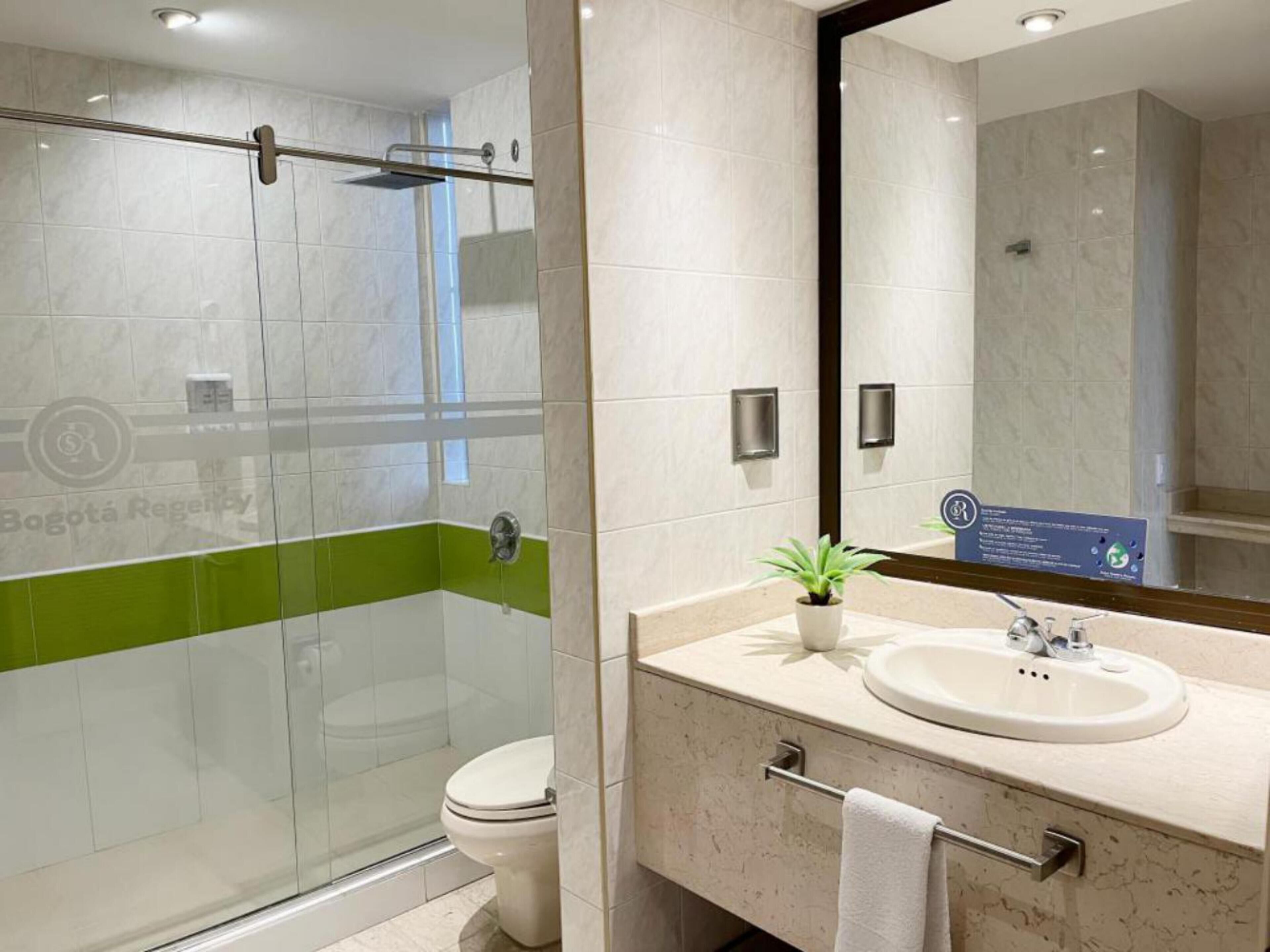 Een moderne badkamer met een douche met glazen wand, een toilet en een wastafel met spiegel erboven.