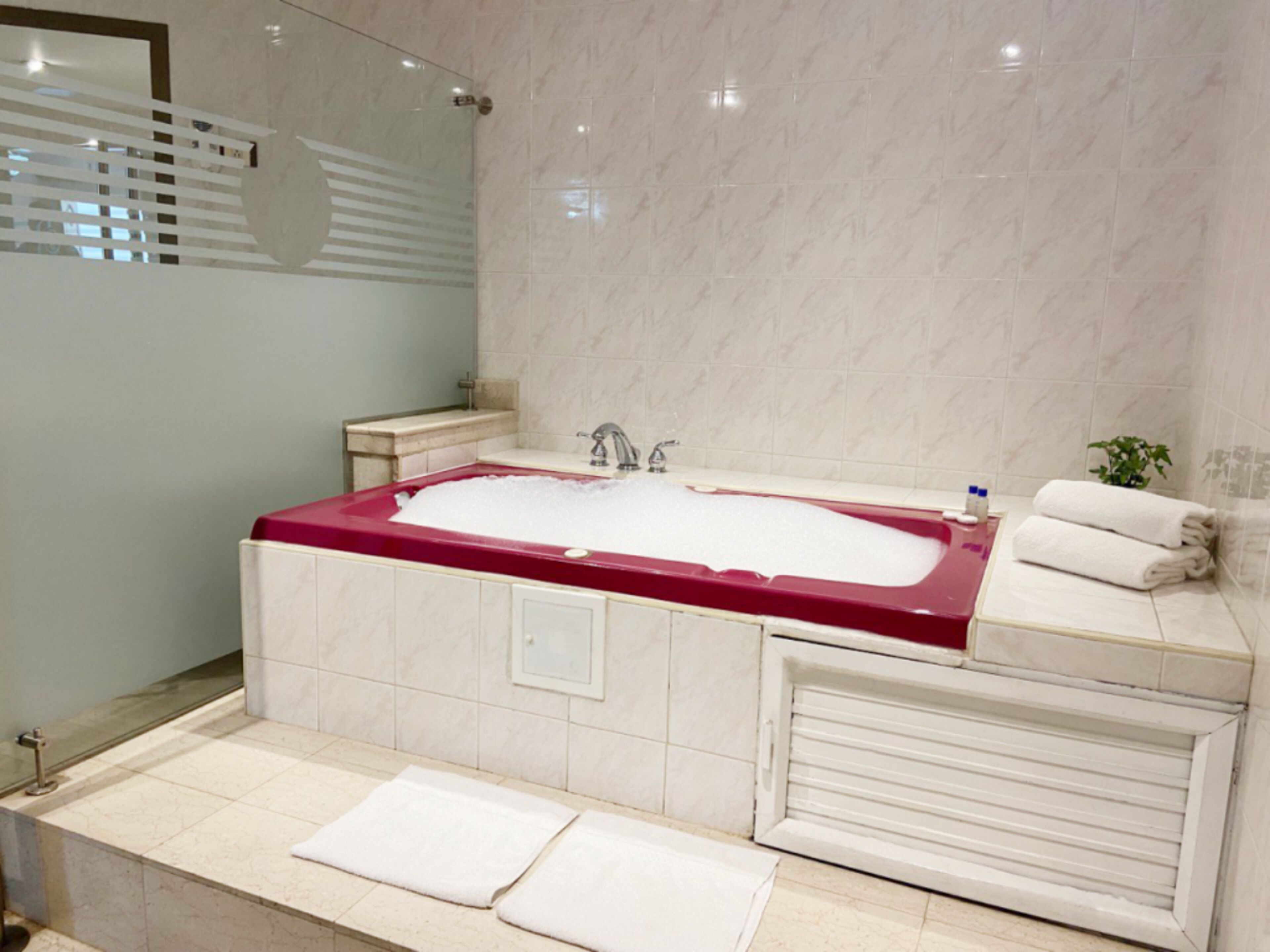 rainfall showerhead, hair dryer, towels, soap