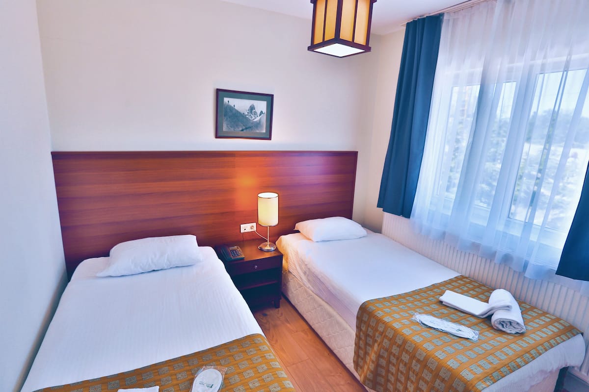 A hotel room with two single beds, a wooden headboard, a bedside lamp, a framed picture on the wall, and a window with sheer curtains.