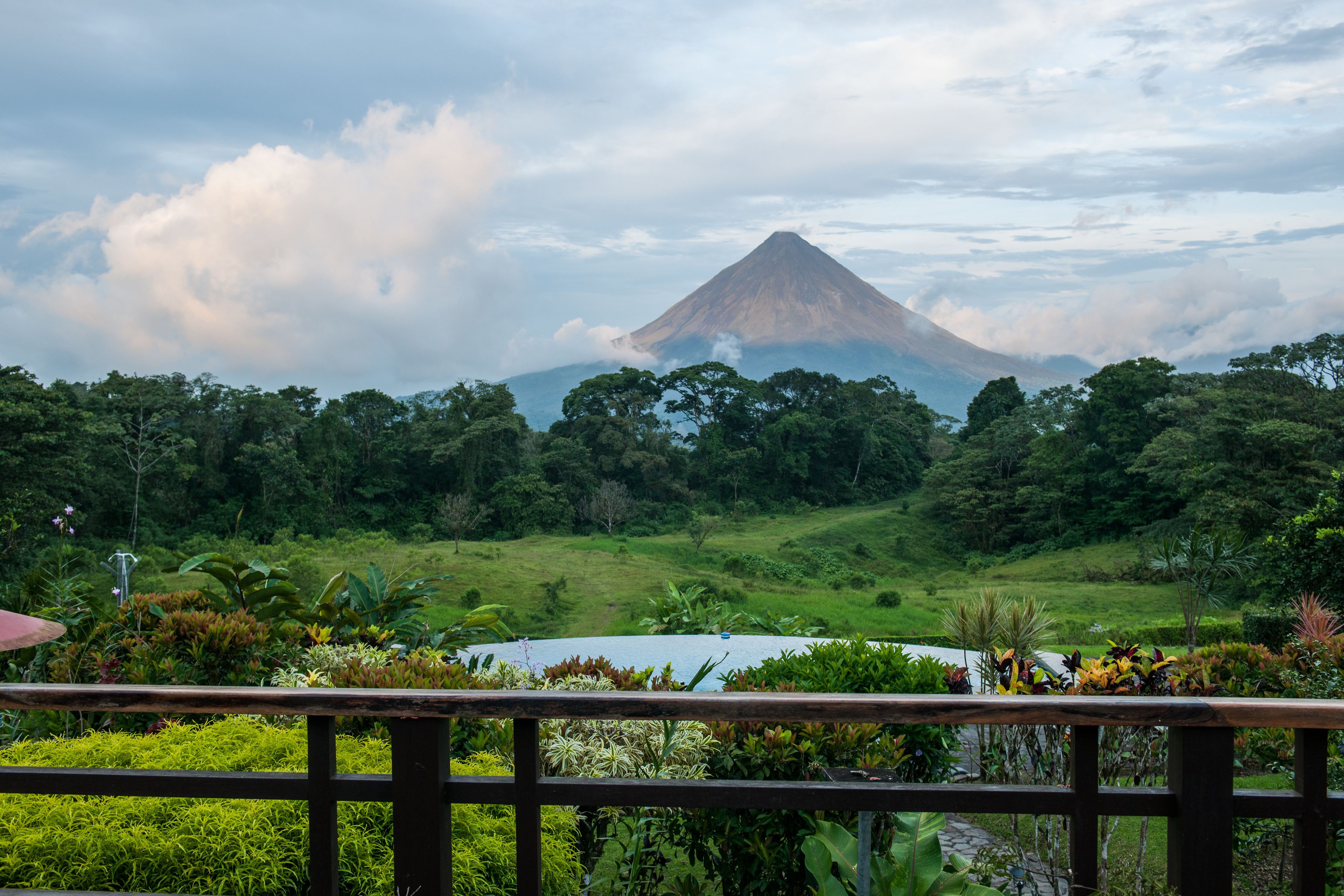Un paisaje exuberante con una montaña al fondo, una terraza de madera en primer plano y una variedad de plantas tropicales.