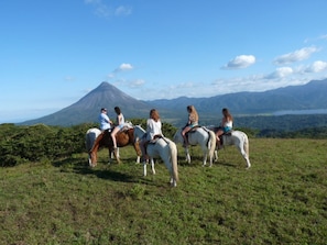 Un grupo de personas a caballo en un campo cubierto de hierba, con una montaña al fondo.