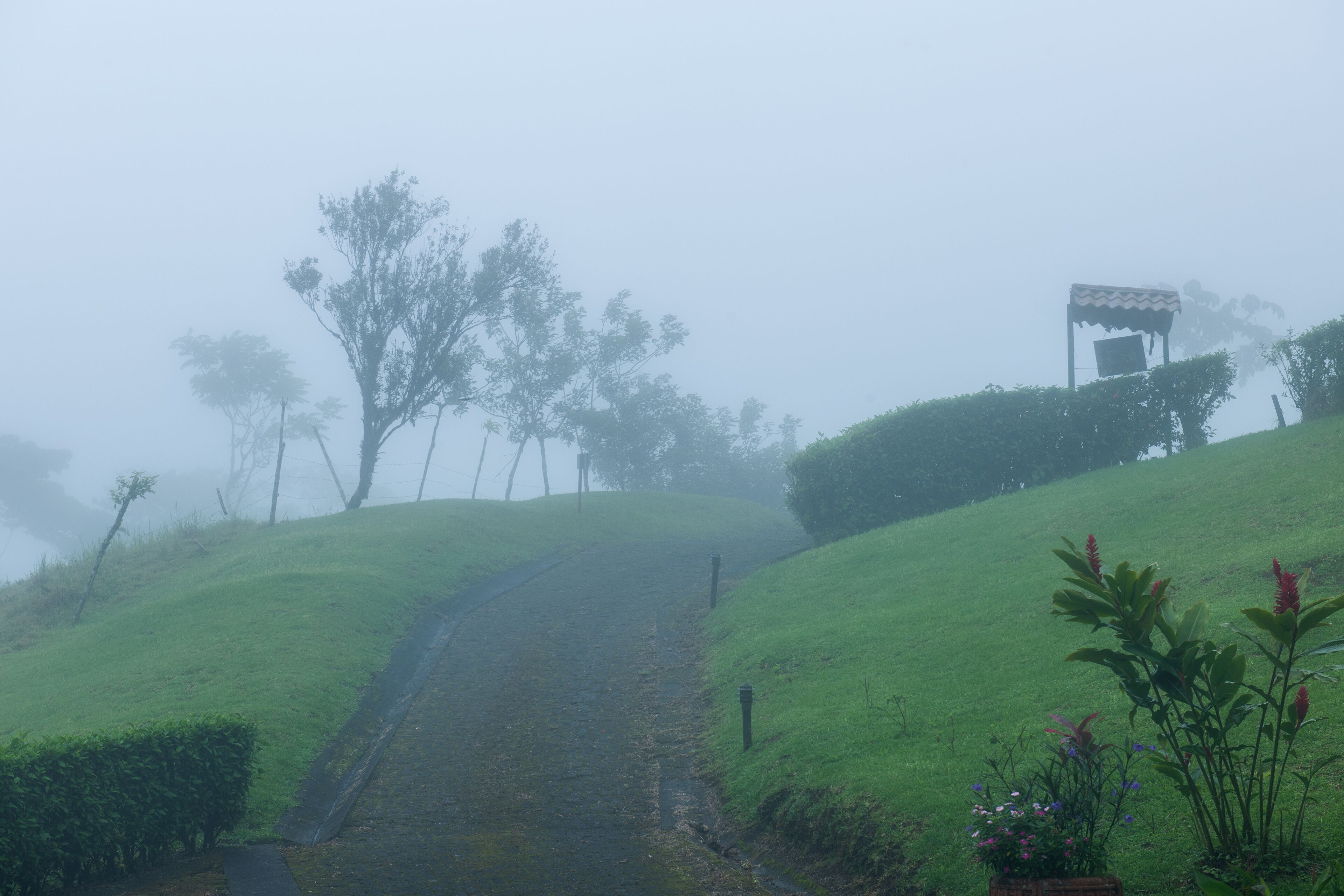 Photo - Hotel Arenal Lodge