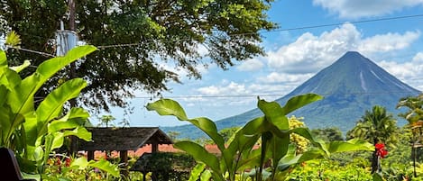 A wooden bench with a view of a mountain.