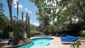 A swimming pool with blue lounge chairs and stone steps.
