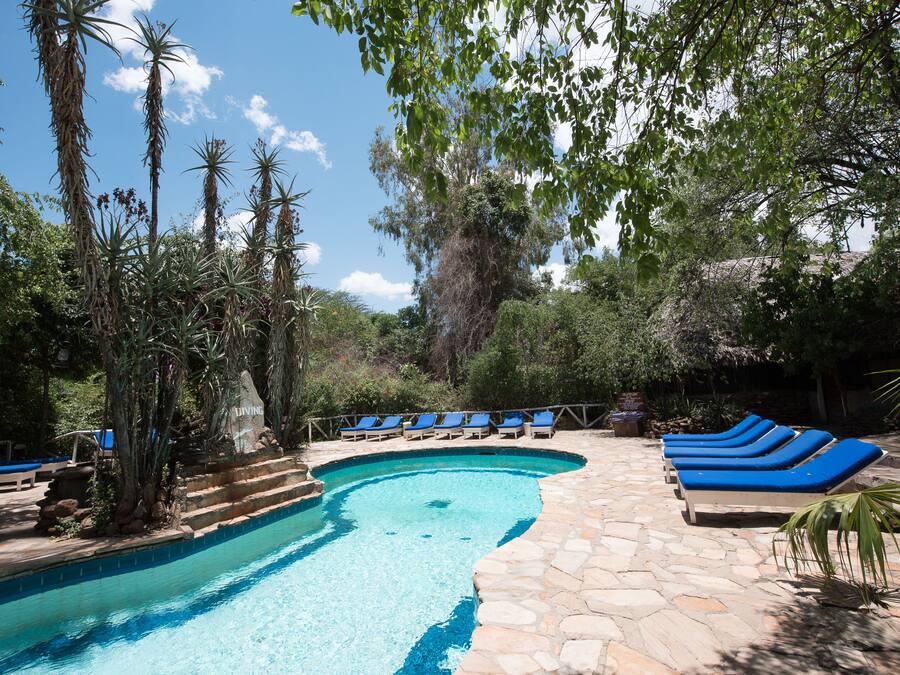 A swimming pool with blue lounge chairs and stone steps.