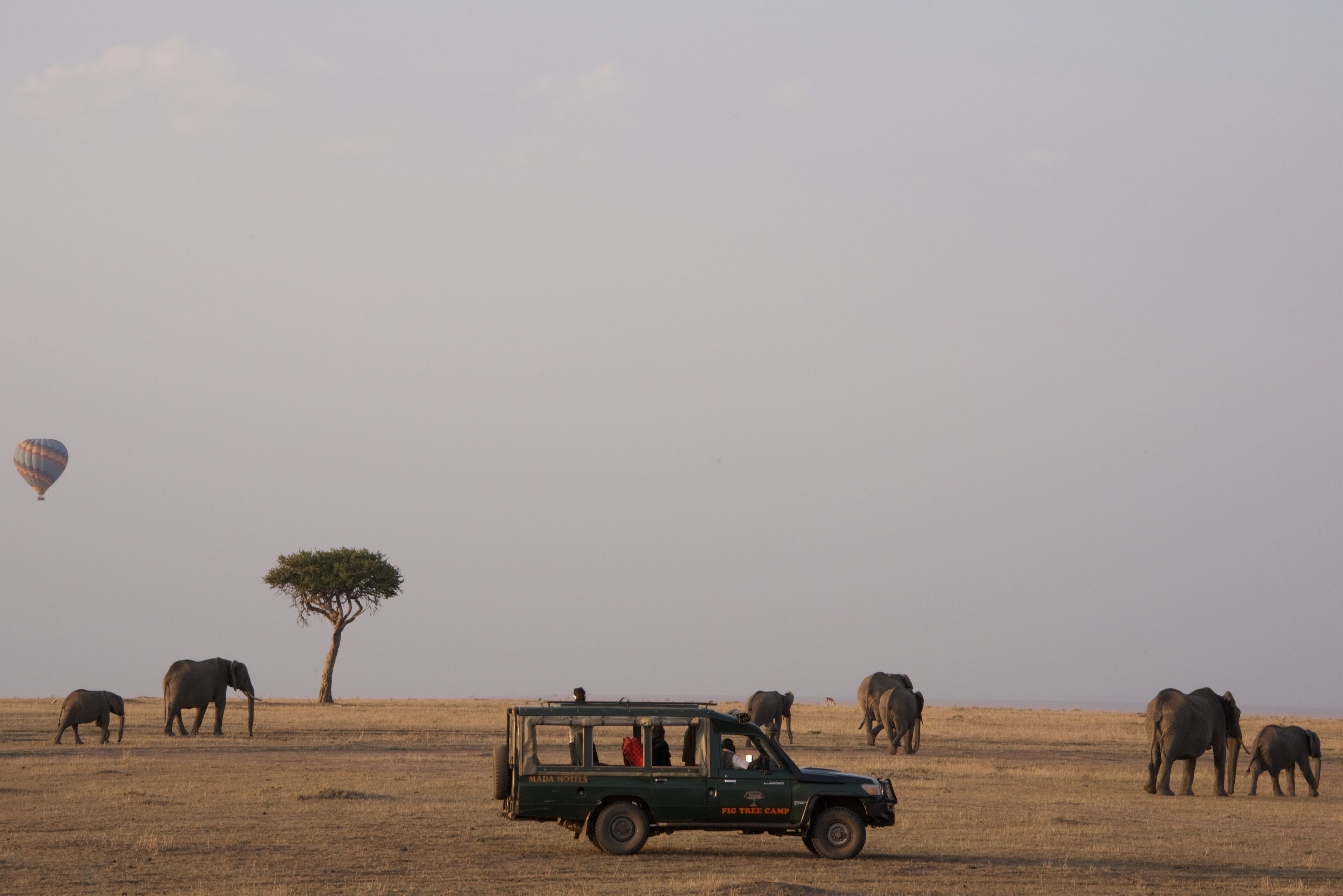 A safari vehicle with passengers observing wildlife, including elephants, in a dry grassland with a tree and a hot air balloon in the background.
