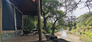 Deluxe Tent, River View | View from room - Fig Tree Camp (Maasai Mara)