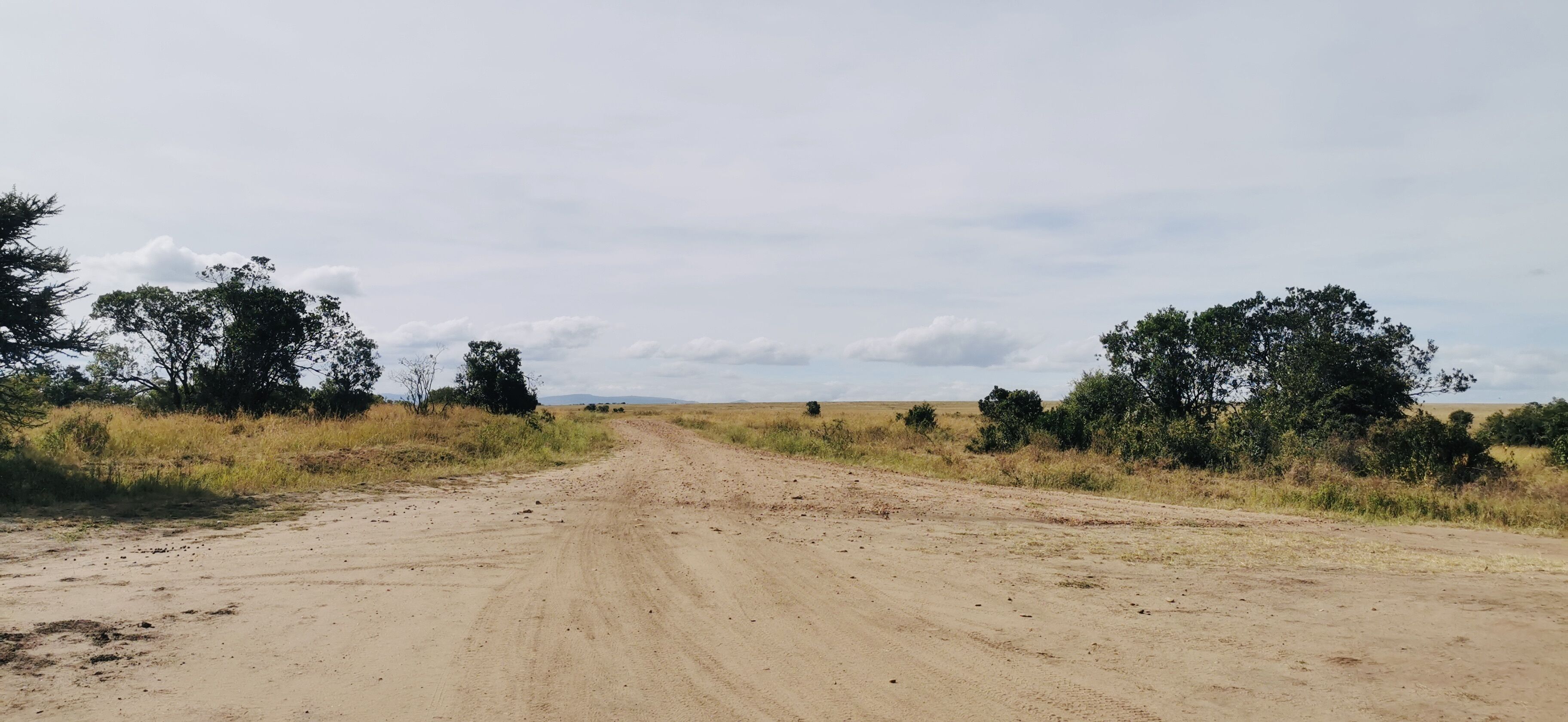 A dirt road in a rural area with sparse vegetation and trees on either side.