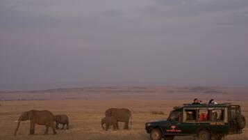 A safari vehicle with passengers observing elephants in a grassy field.